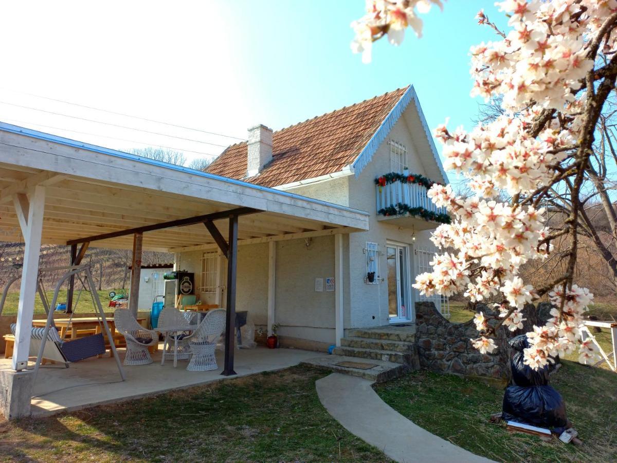 Honey Hill Apartment Fruska Gora Cerevic Exterior photo