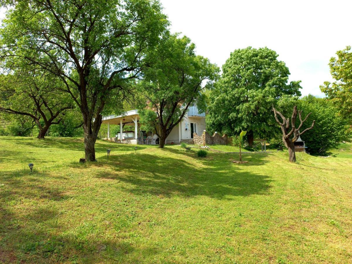 Honey Hill Apartment Fruska Gora Cerevic Exterior photo
