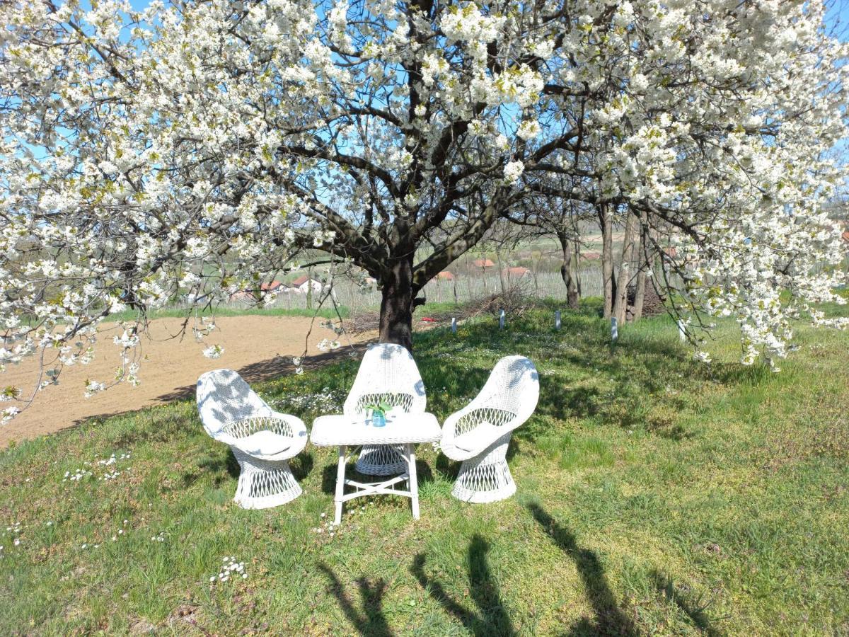 Honey Hill Apartment Fruska Gora Cerevic Exterior photo