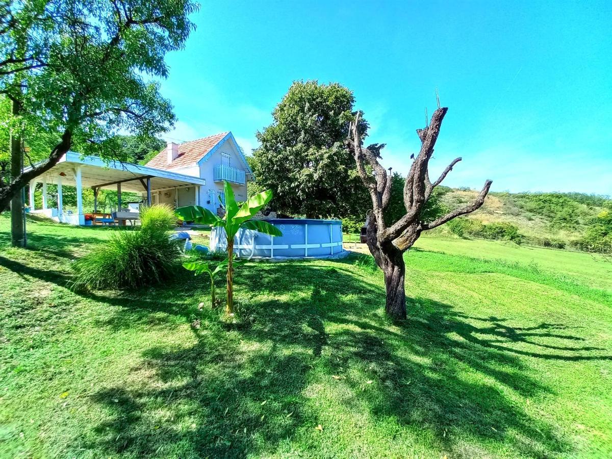 Honey Hill Apartment Fruska Gora Cerevic Exterior photo