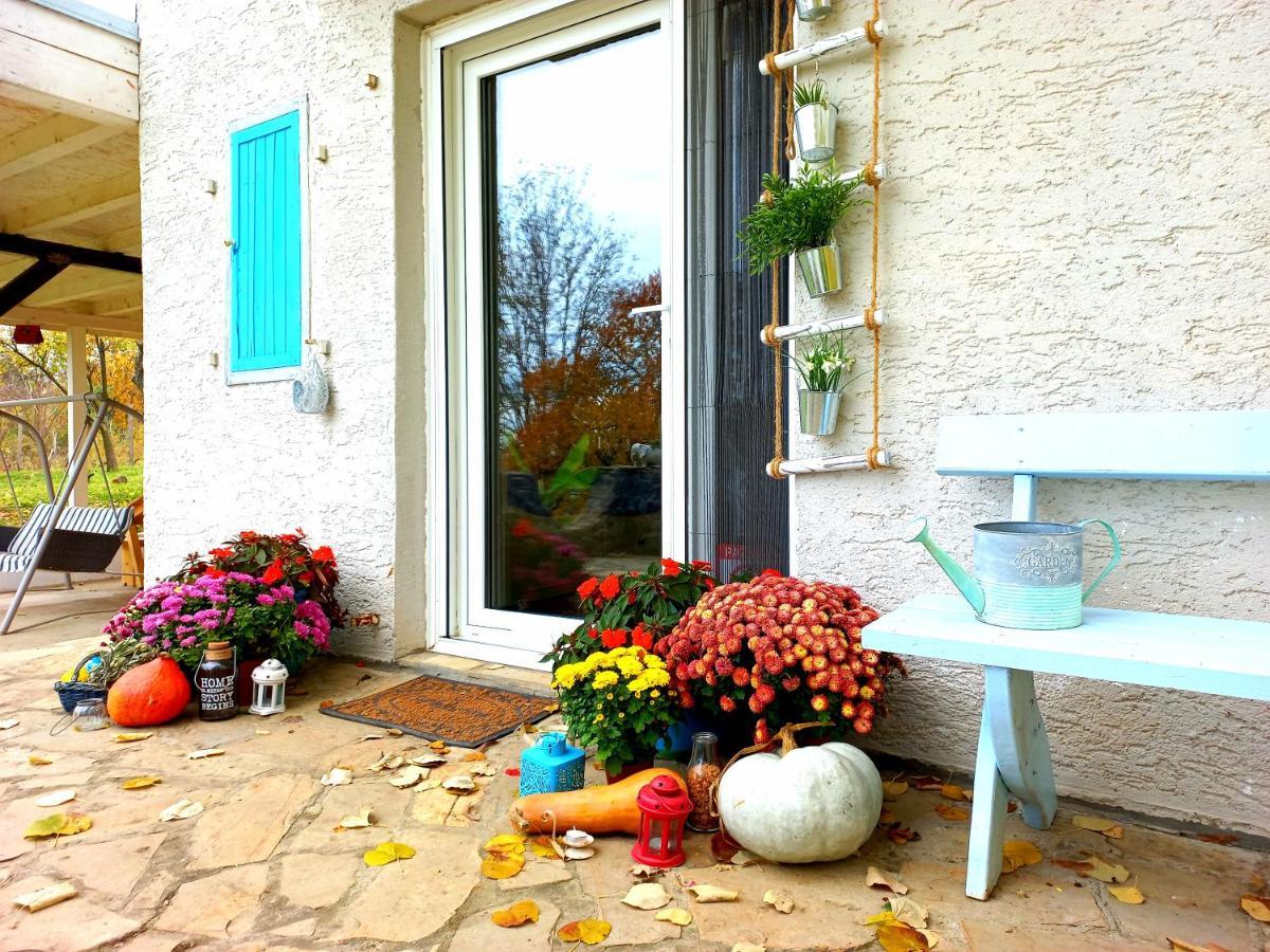 Honey Hill Apartment Fruska Gora Cerevic Exterior photo